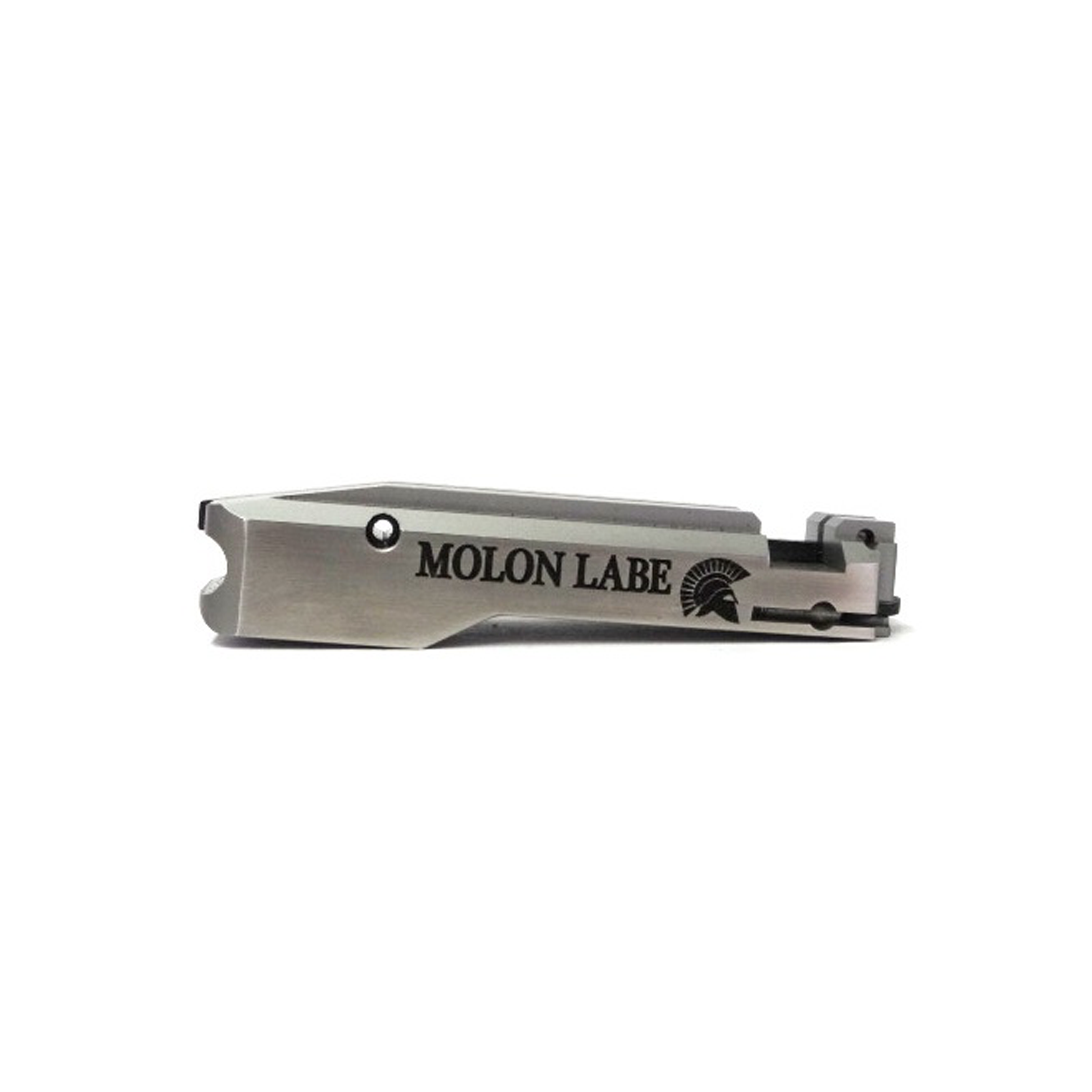 Ruger Bolt MOLON LABE